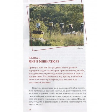 Моя вкусная Сербия.