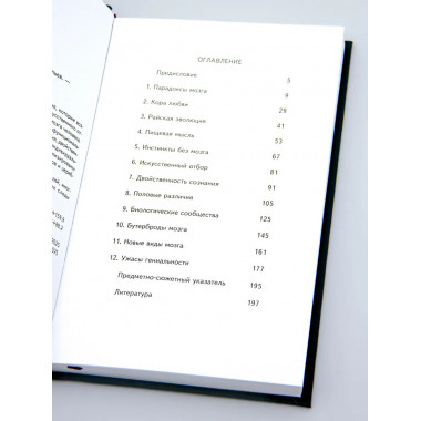Нищета мозга. 6-е издание. Савельев С. В.