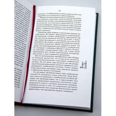 Нищета мозга. 6-е издание. Савельев С. В.