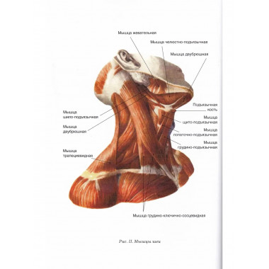 Логопедический массаж