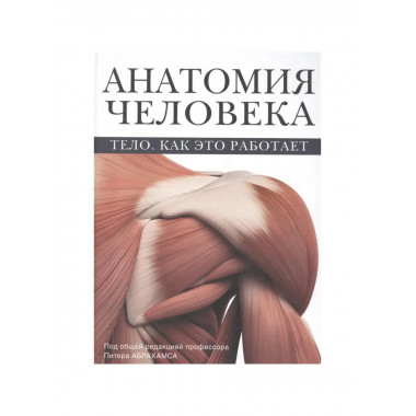 Анатомия человека.