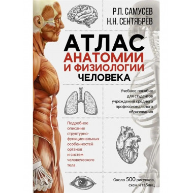 Атлас анатомии и физиологии человека.