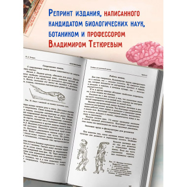 Естествознание. Советский учебник в 2 частях. 1939 год.