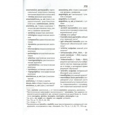 Анатомический словарь.