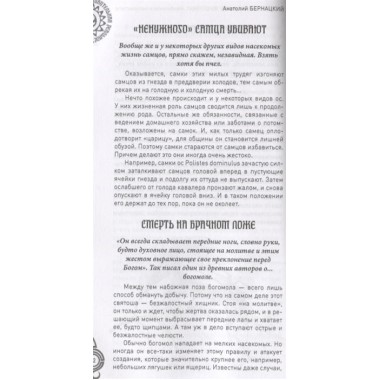 Брак и семья в мире животных. Необычное и неизвестное. Бернацкий А.С.