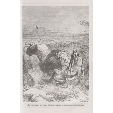 Охотники за жирафами ; Юные охотники. Рид Т.М.