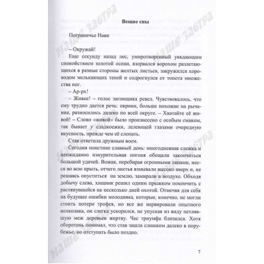 Ратибор и сказки Вещего Леса. Окольников А.