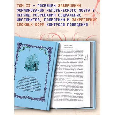 Морфология сознания. Том 2. Савельев С.В.