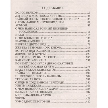 Тайна озера Кучум. Топилин В.С.