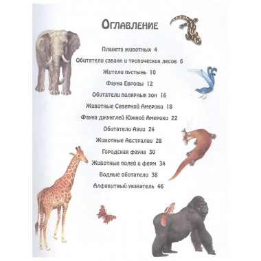 Животные.