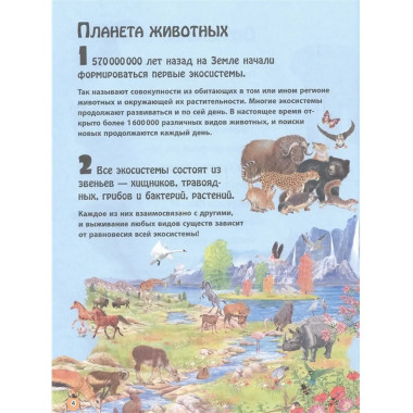 Животные.