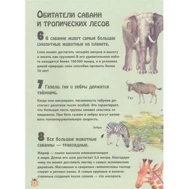 Животные.
