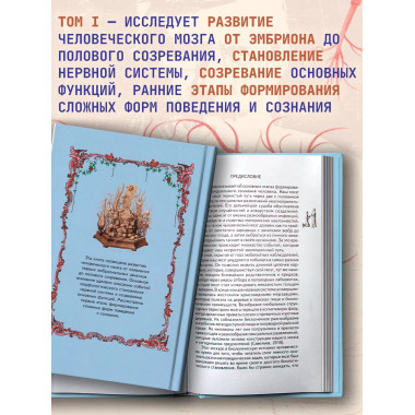 Морфология сознания. 4-е издание. Том 1. Савельев С.