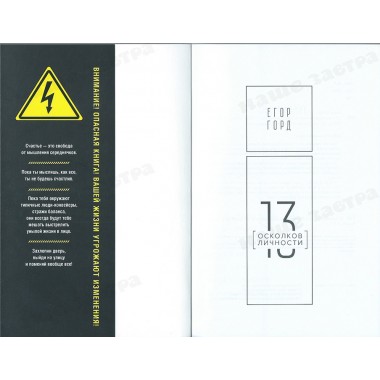 13 осколков личности. Книга сильных. Горд Е.
