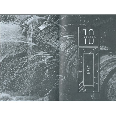 13 осколков личности. Книга сильных. Горд Е.