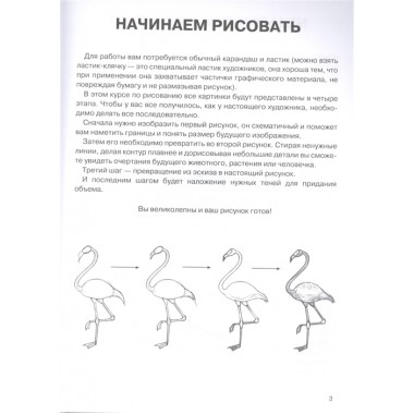 Суперкурс по рисованию. Простые зарисовки. Грей М.