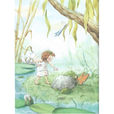 Земляничная фея. Волшебная книга каникул. Дале Ш.