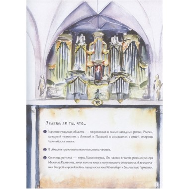 Приключения мышонка Недо в Калининграде, или квест мышиного короля. Полезные сказки. Кретова К. А., Романькова Н. А.