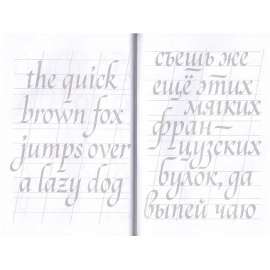 Основы каллиграфии и леттеринга. Прописи. Умпелева О.Ю.