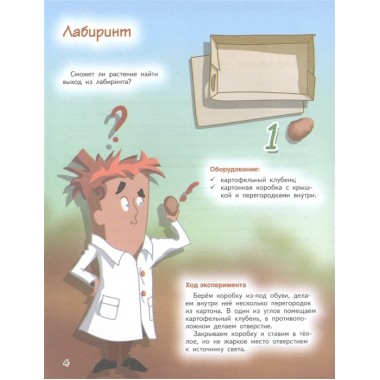 Весёлые научные опыты. Увлекательные эксперименты с растениями и солнечным светом. Белько Е. А.