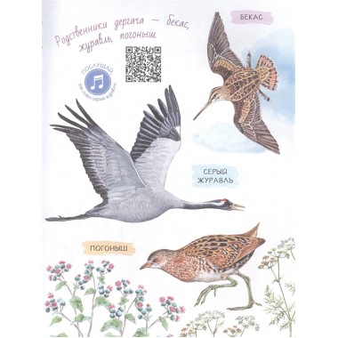 Рассказы о природе. Пришвин М.М.