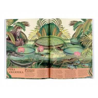 Подводный мир. Кауфман А.