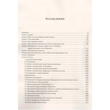 Йога, вечность и учение Карлоса Кастанеды. Стенин А.