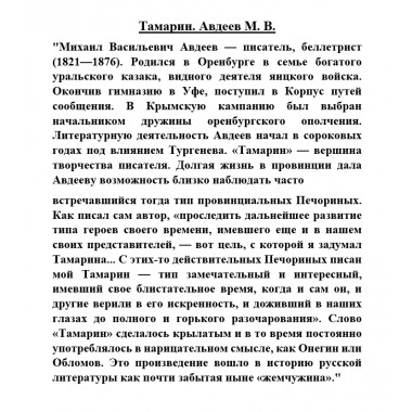 Тамарин. Авдеев М.В.