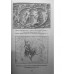 Москва античная. Мифы Древней Эллады на каменных книгах столицы. Сергиевская И.Г.