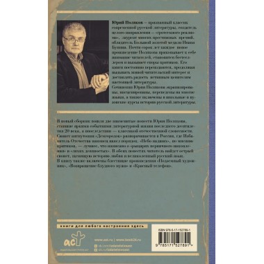 Небо падших. Поляков Ю.М.