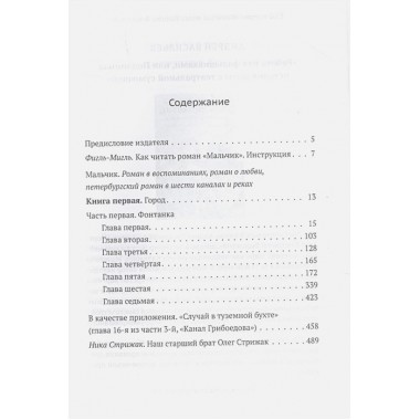 Мальчик. Олег Стрижак.