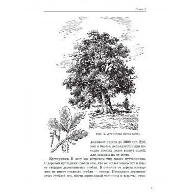 Ботаника. Советский учебник для 5-6 классов. 1957 год.