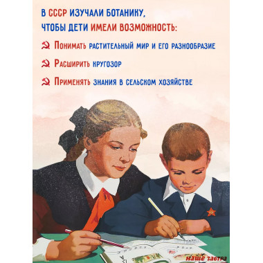 Ботаника. Советский учебник для 5-6 классов. 1957 год.