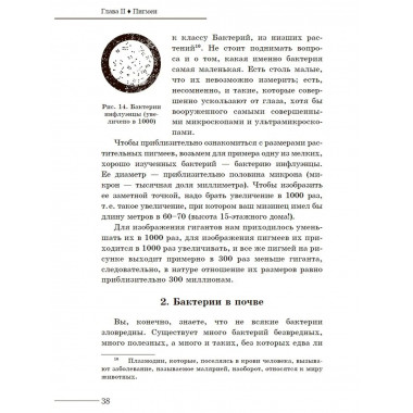 Занимательная ботаника.