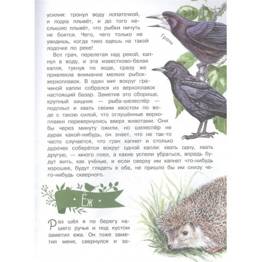 Рассказы о природе.