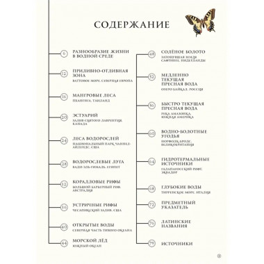 Подводный мир.