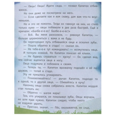 Пес Капитон ищет работу.