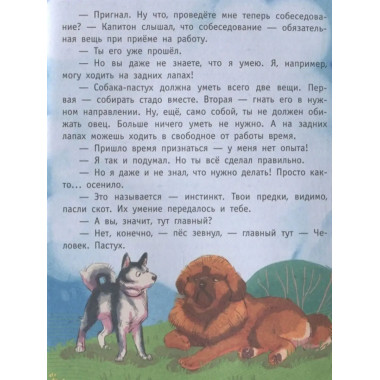 Пес Капитон ищет работу.