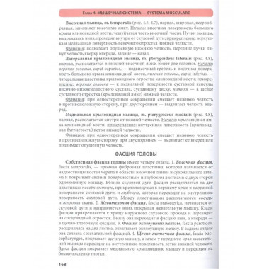 Атлас анатомии человека. 9-е издание