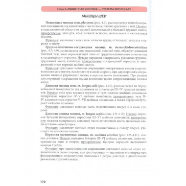 Атлас анатомии человека. 9-е издание