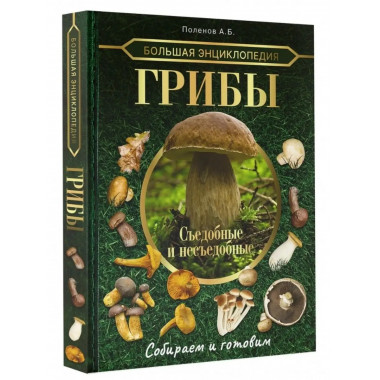 Большая энциклопедия. Грибы. Съедобные и несъедобные.