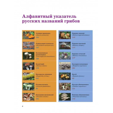 Большая энциклопедия. Грибы. Съедобные и несъедобные.