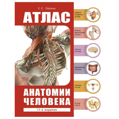 Атлас анатомии человека.