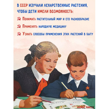 Лекарственные растения.