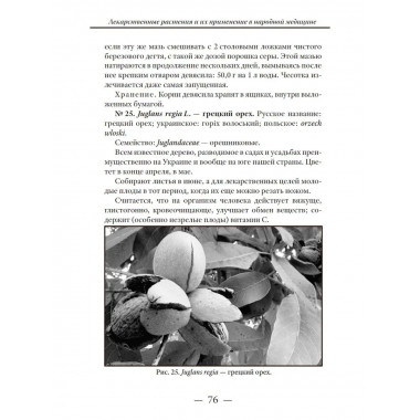 Лекарственные растения.