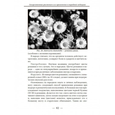 Лекарственные растения.