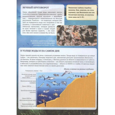 Подводный мир.