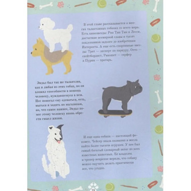 Собаки-супергерои.