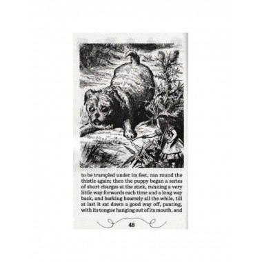 Алиса в стране чудес Alice’s adventures in Wonderland