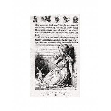Алиса в стране чудес Alice’s adventures in Wonderland
